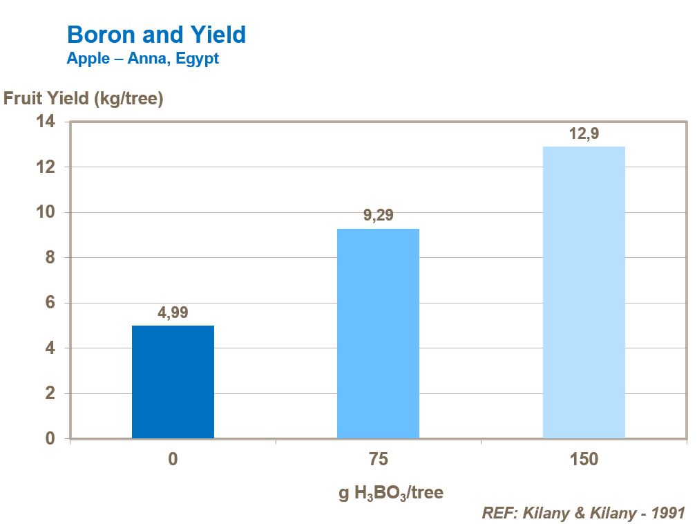 Boron and yield
