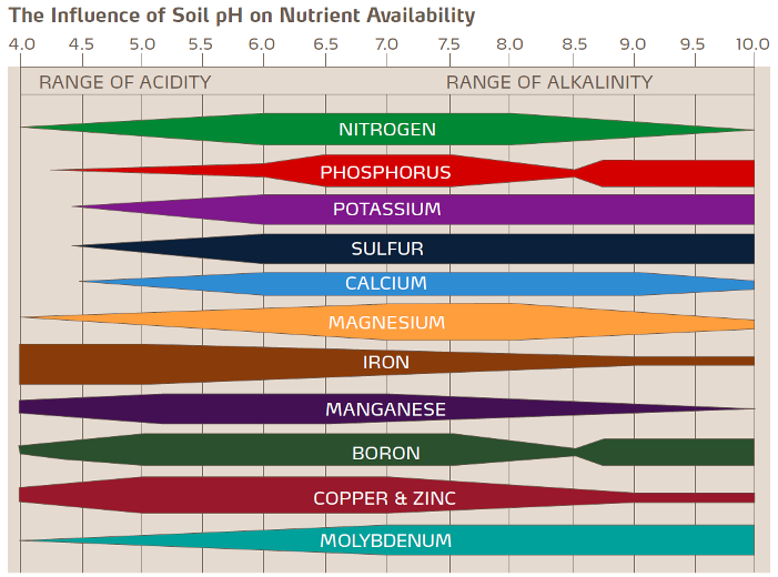 La influencia del pH del suelo en la disponibilidad de nutrientes 