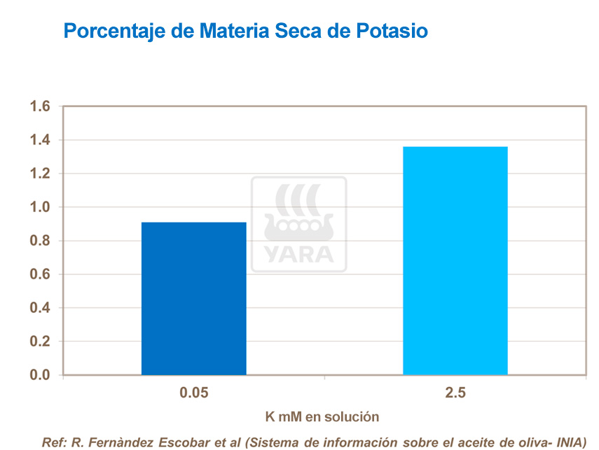 abonos, yara, abono, olivo