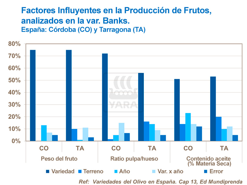 abonos, yara, abono, olivo