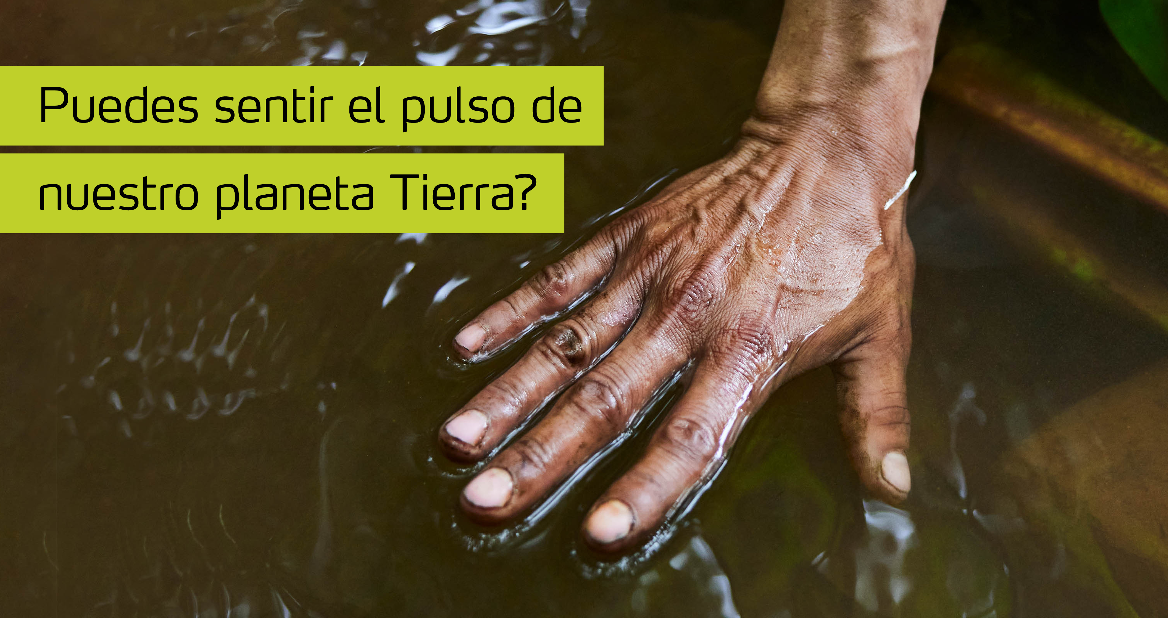 ¿Puedes sentir el pulso de la Tierra?